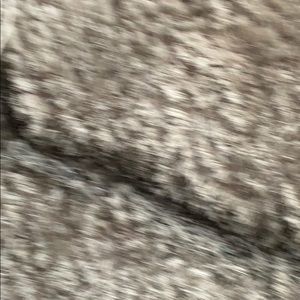 Meet your Posher, Boris